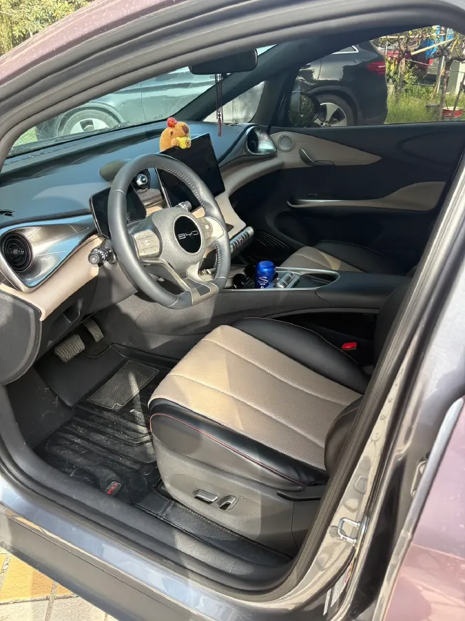 2023 BYD Dolphin BEV 44.928KWH,autocango,china used car exporter,china ev exporter,chinese used car exporter,chinese used ev exporter