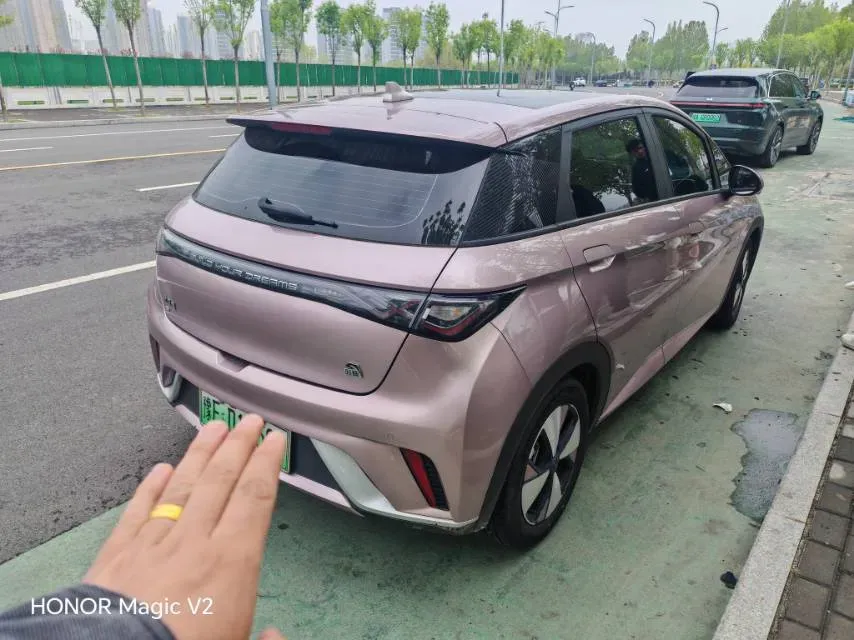 2023 BYD Dolphin BEV 44.928KWH,autocango,china used car exporter,china ev exporter,chinese used car exporter,chinese used ev exporter