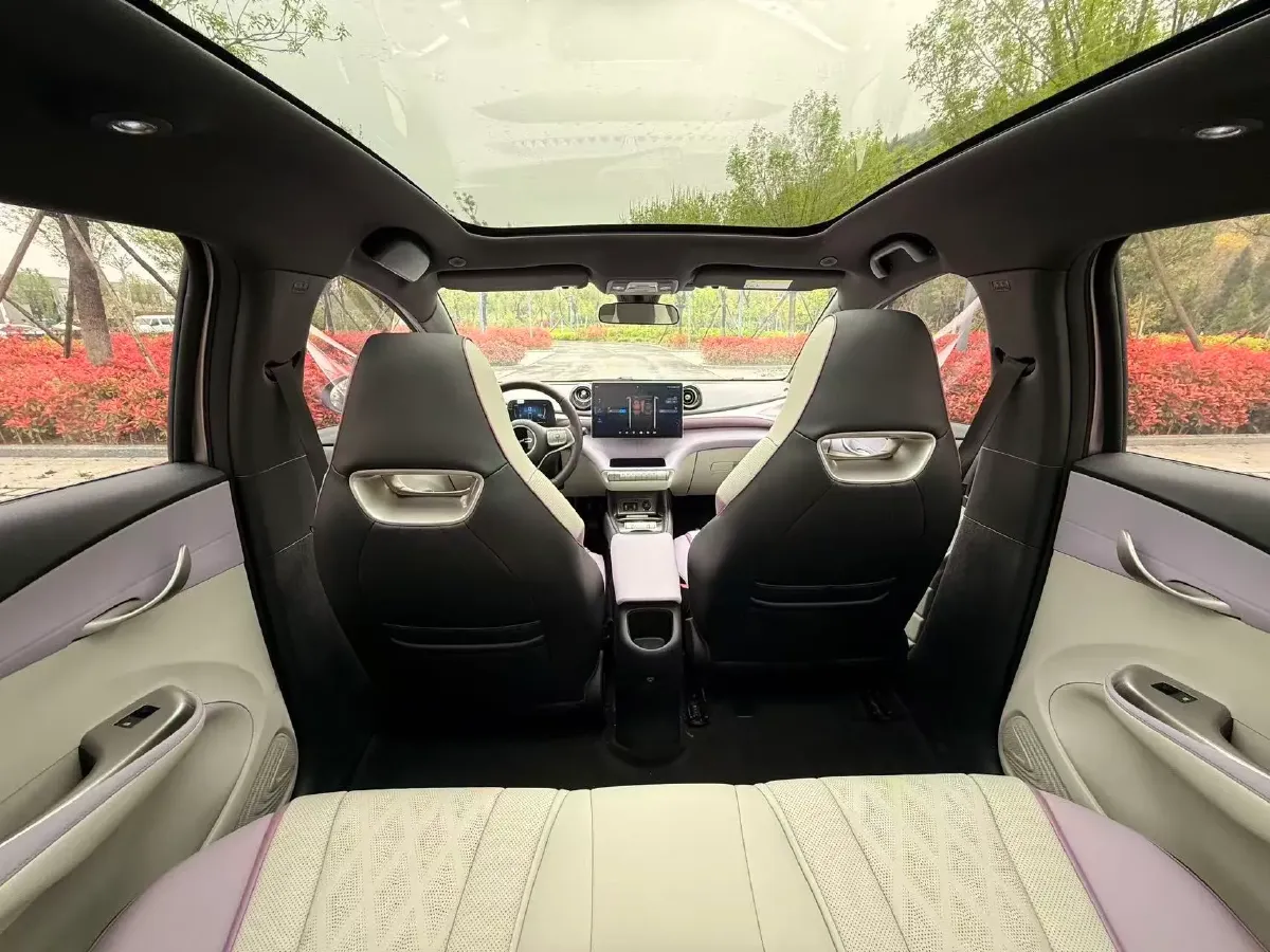 2023 BYD Dolphin BEV 44.928KWH,autocango,china used car exporter,china ev exporter,chinese used car exporter,chinese used ev exporter