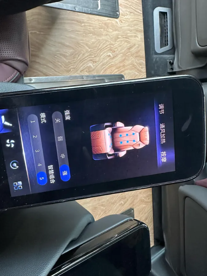 2023 HongQi HQ9 2.0T 252HP L4 8AT,autocango,china used car exporter,china ev exporter,chinese used car exporter,chinese used ev exporter