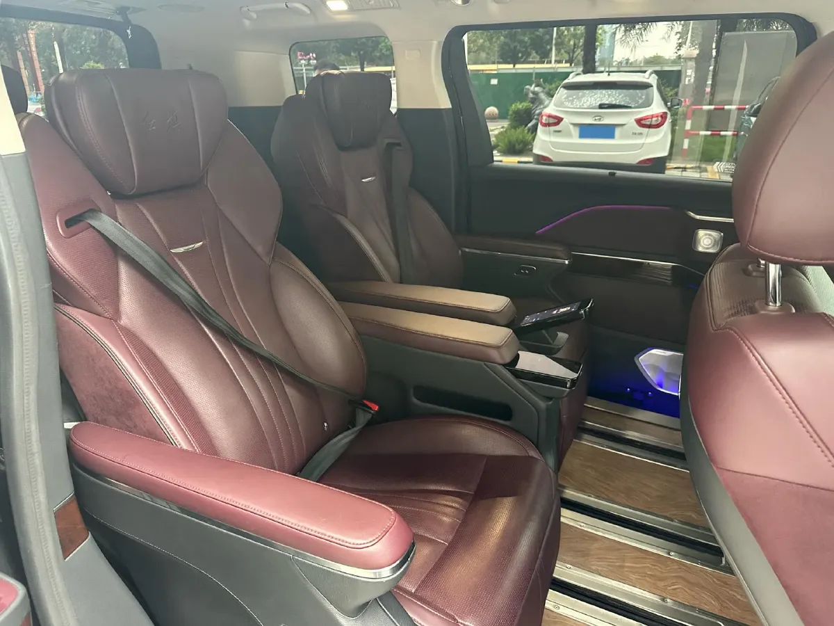 2023 HongQi HQ9 2.0T 252HP L4 8AT,autocango,china used car exporter,china ev exporter,chinese used car exporter,chinese used ev exporter