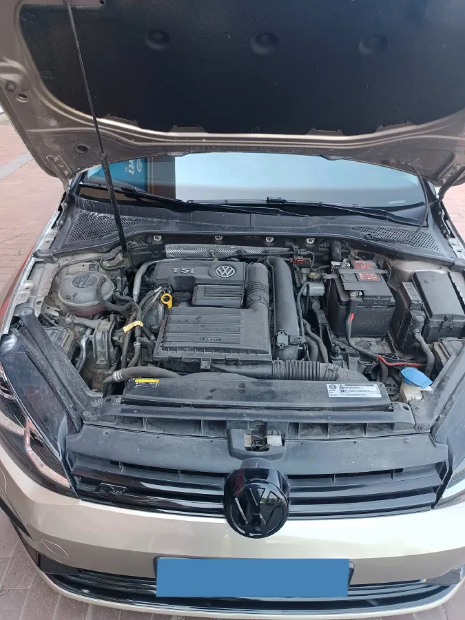 2019 Volkswagen Golf 1.4T 150HP L4 7DCT,autocango,china used car exporter,china ev exporter,chinese used car exporter,chinese used ev exporter
