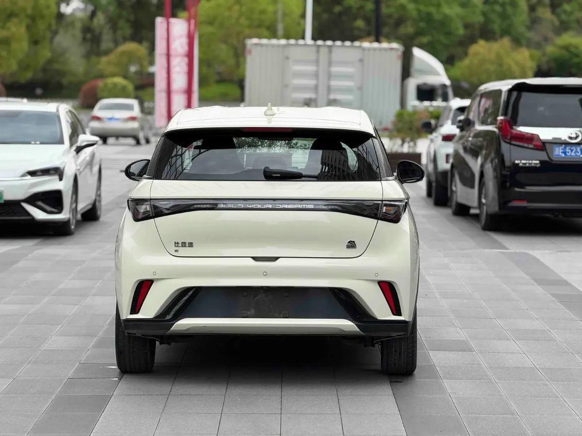 2023 BYD Dolphin BEV 44.928KWH,autocango,china used car exporter,china ev exporter,chinese used car exporter,chinese used ev exporter