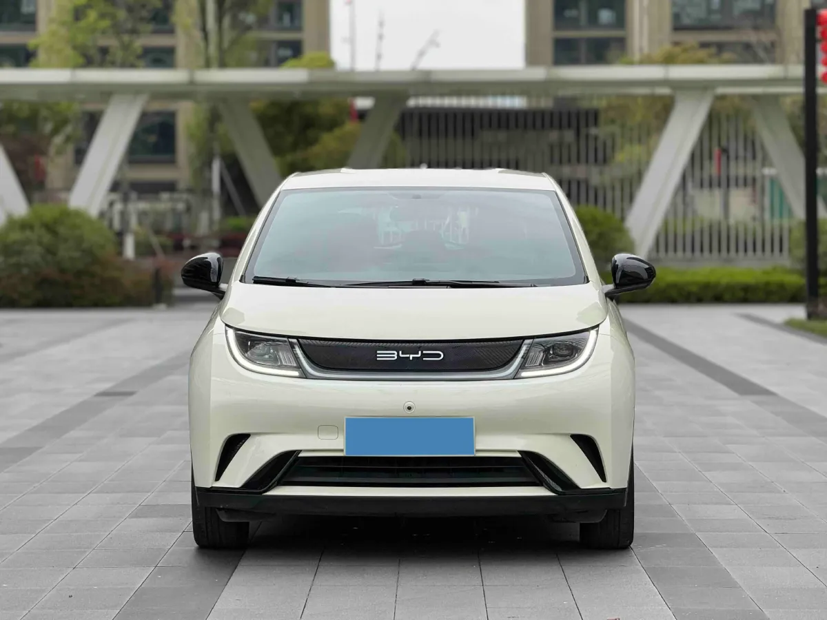2023 BYD Dolphin BEV 44.928KWH,autocango,china used car exporter,china ev exporter,chinese used car exporter,chinese used ev exporter