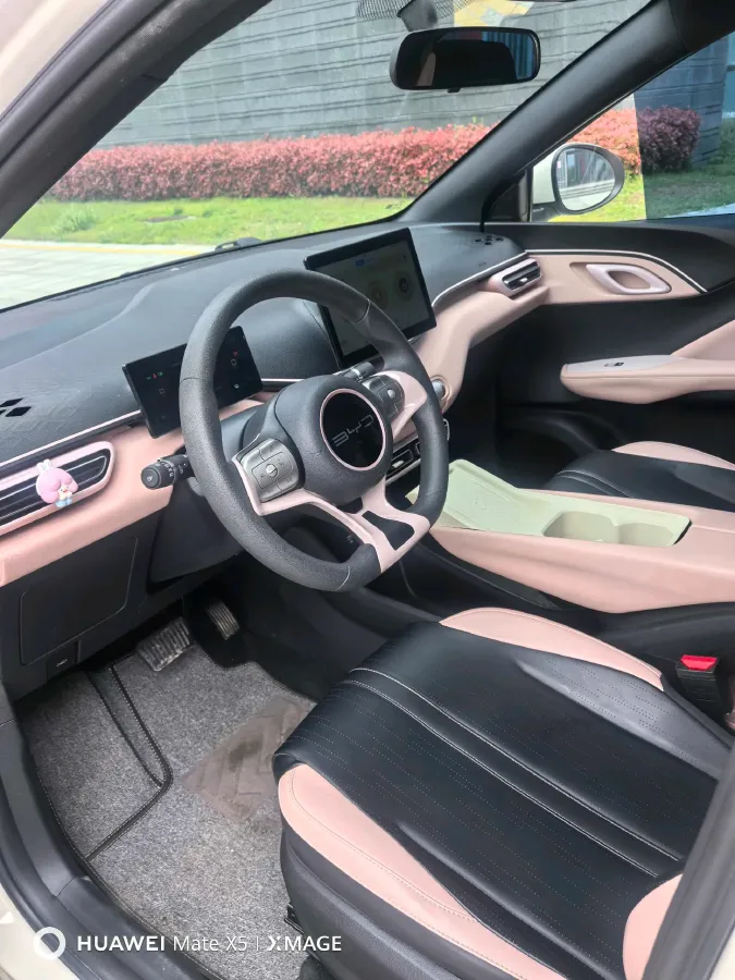 2023 BYD Seagull BEV 30.08KWH,autocango,china used car exporter,china ev exporter,chinese used car exporter,chinese used ev exporter