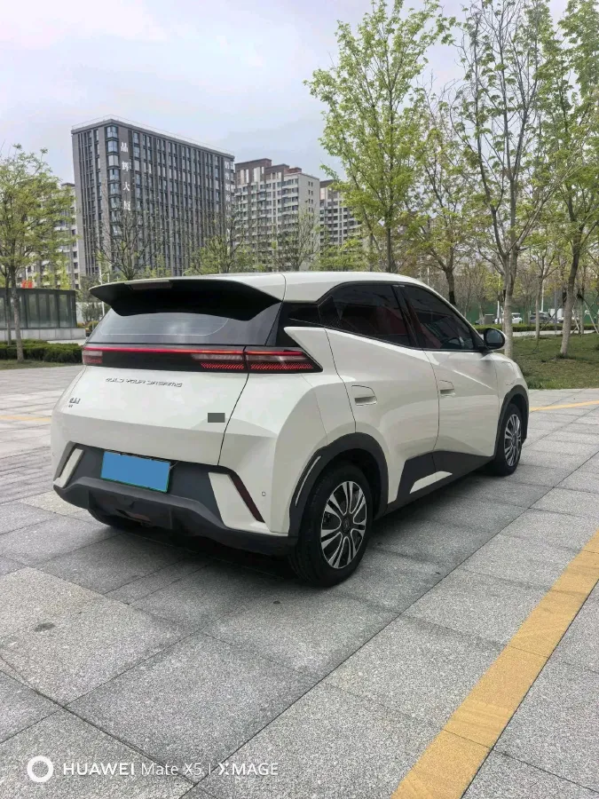 2023 BYD Seagull BEV 30.08KWH,autocango,china used car exporter,china ev exporter,chinese used car exporter,chinese used ev exporter