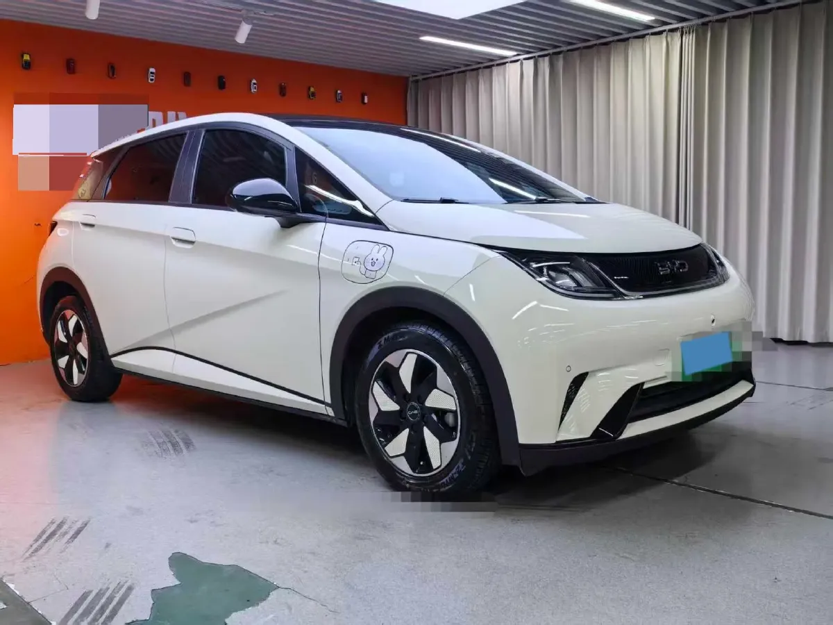 2024 BYD Dolphin BEV 44.928KWH,autocango,china used car exporter,china ev exporter,chinese used car exporter,chinese used ev exporter