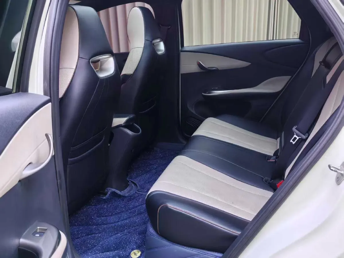 2024 BYD Dolphin BEV 44.928KWH,autocango,china used car exporter,china ev exporter,chinese used car exporter,chinese used ev exporter