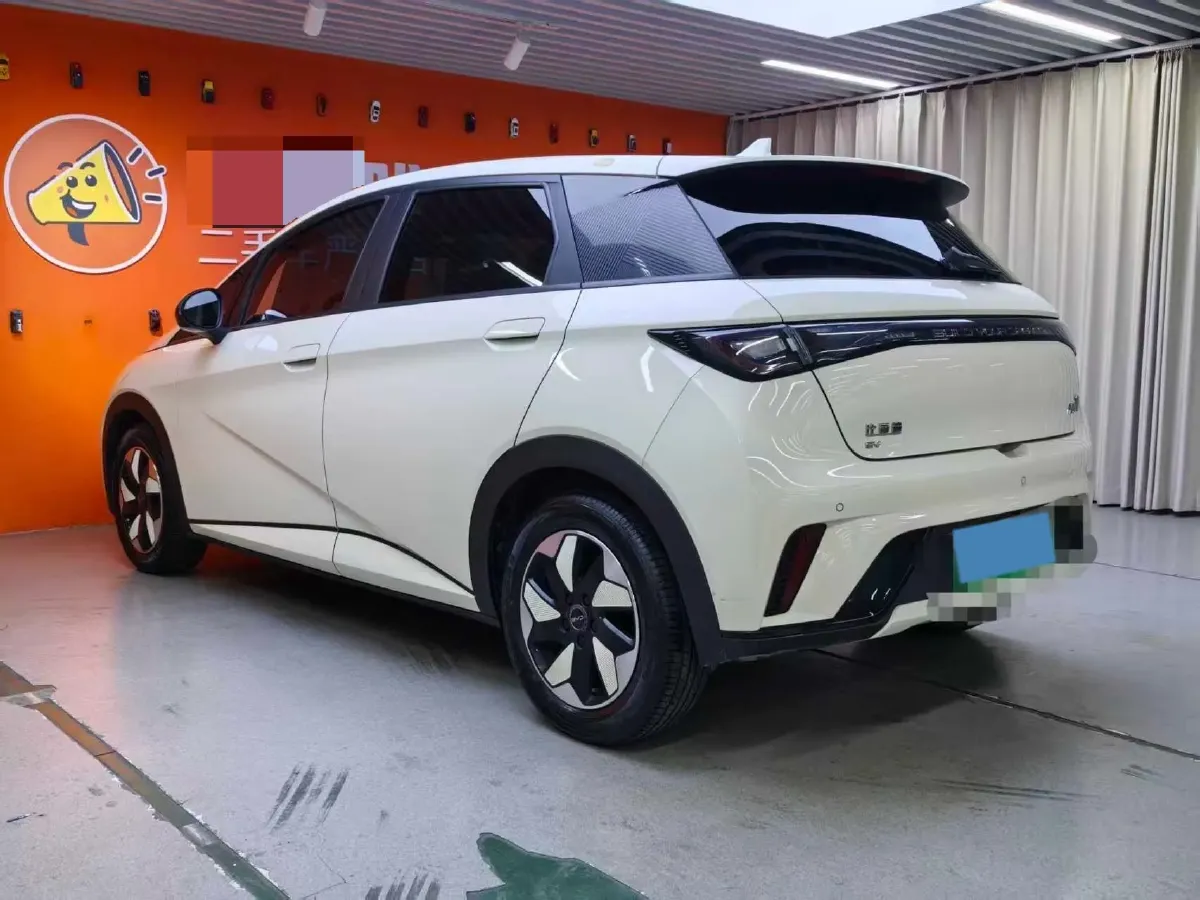 2024 BYD Dolphin BEV 44.928KWH,autocango,china used car exporter,china ev exporter,chinese used car exporter,chinese used ev exporter