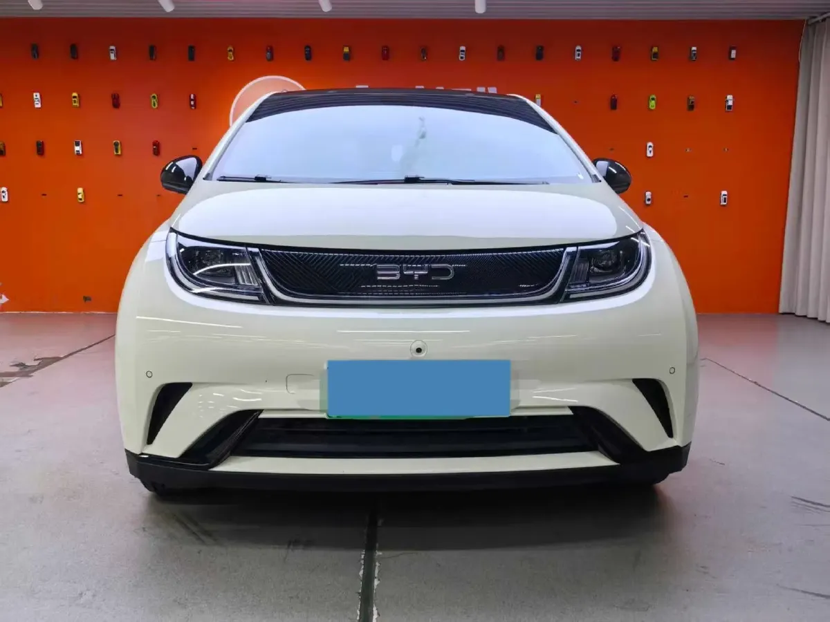 2024 BYD Dolphin BEV 44.928KWH,autocango,china used car exporter,china ev exporter,chinese used car exporter,chinese used ev exporter