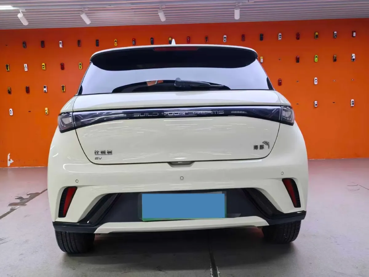 2024 BYD Dolphin BEV 44.928KWH,autocango,china used car exporter,china ev exporter,chinese used car exporter,chinese used ev exporter