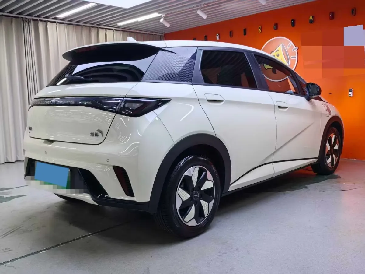 2024 BYD Dolphin BEV 44.928KWH,autocango,china used car exporter,china ev exporter,chinese used car exporter,chinese used ev exporter