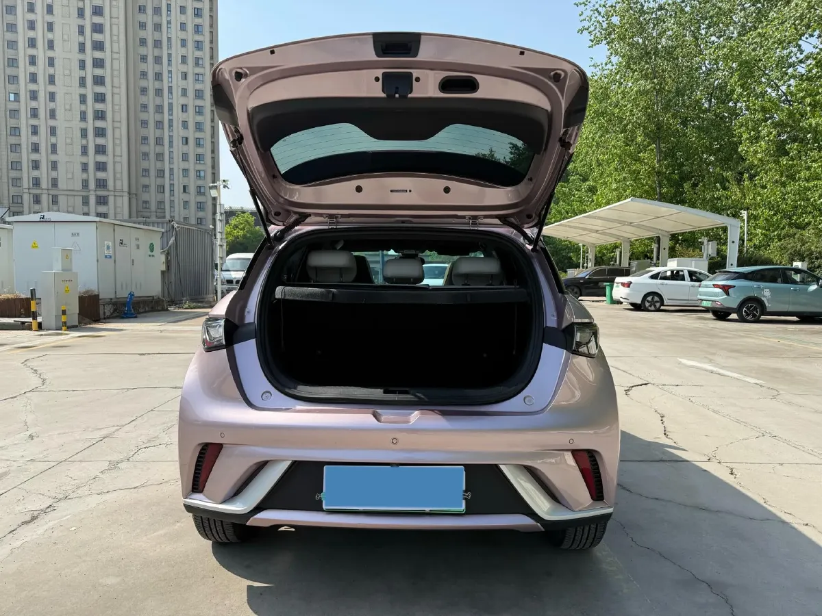 2023 BYD Dolphin BEV 44.928KWH,autocango,china used car exporter,china ev exporter,chinese used car exporter,chinese used ev exporter