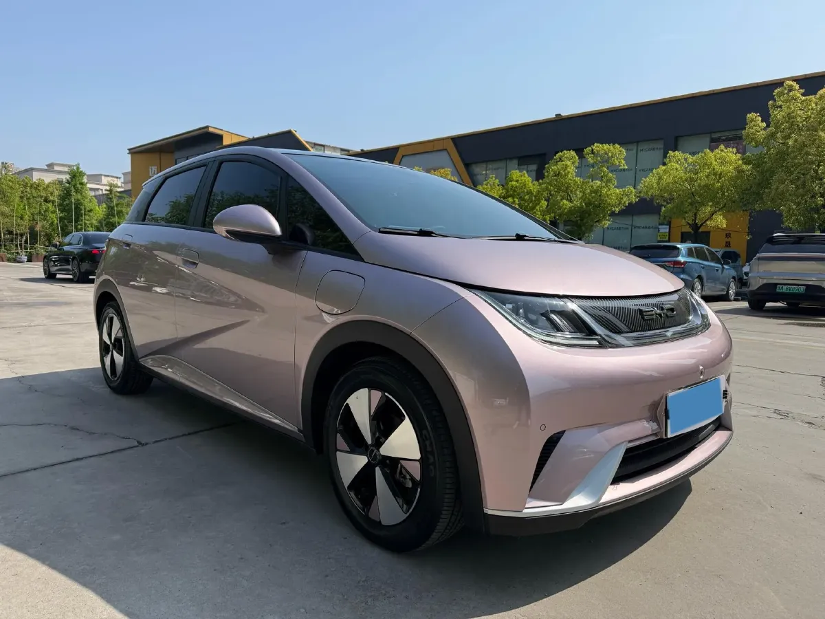 2023 BYD Dolphin BEV 44.928KWH,autocango,china used car exporter,china ev exporter,chinese used car exporter,chinese used ev exporter