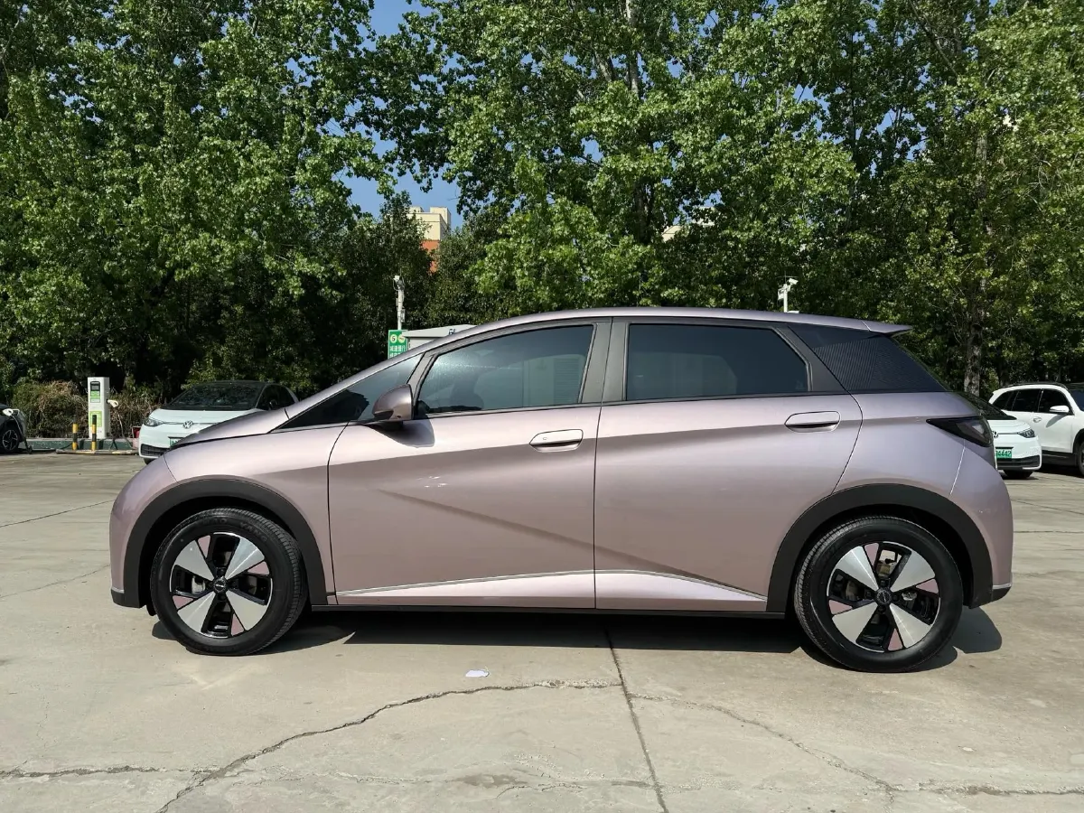 2023 BYD Dolphin BEV 44.928KWH,autocango,china used car exporter,china ev exporter,chinese used car exporter,chinese used ev exporter