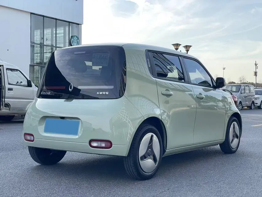 2020 Ora WhiteCat BEV 33KWH,autocango,china used car exporter,china ev exporter,chinese used car exporter,chinese used ev exporter