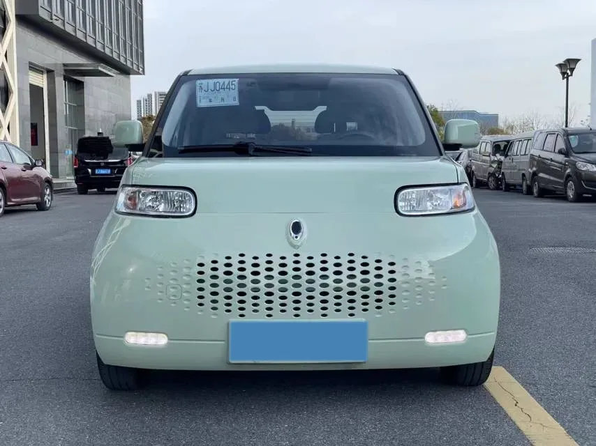 2020 Ora WhiteCat BEV 33KWH,autocango,china used car exporter,china ev exporter,chinese used car exporter,chinese used ev exporter
