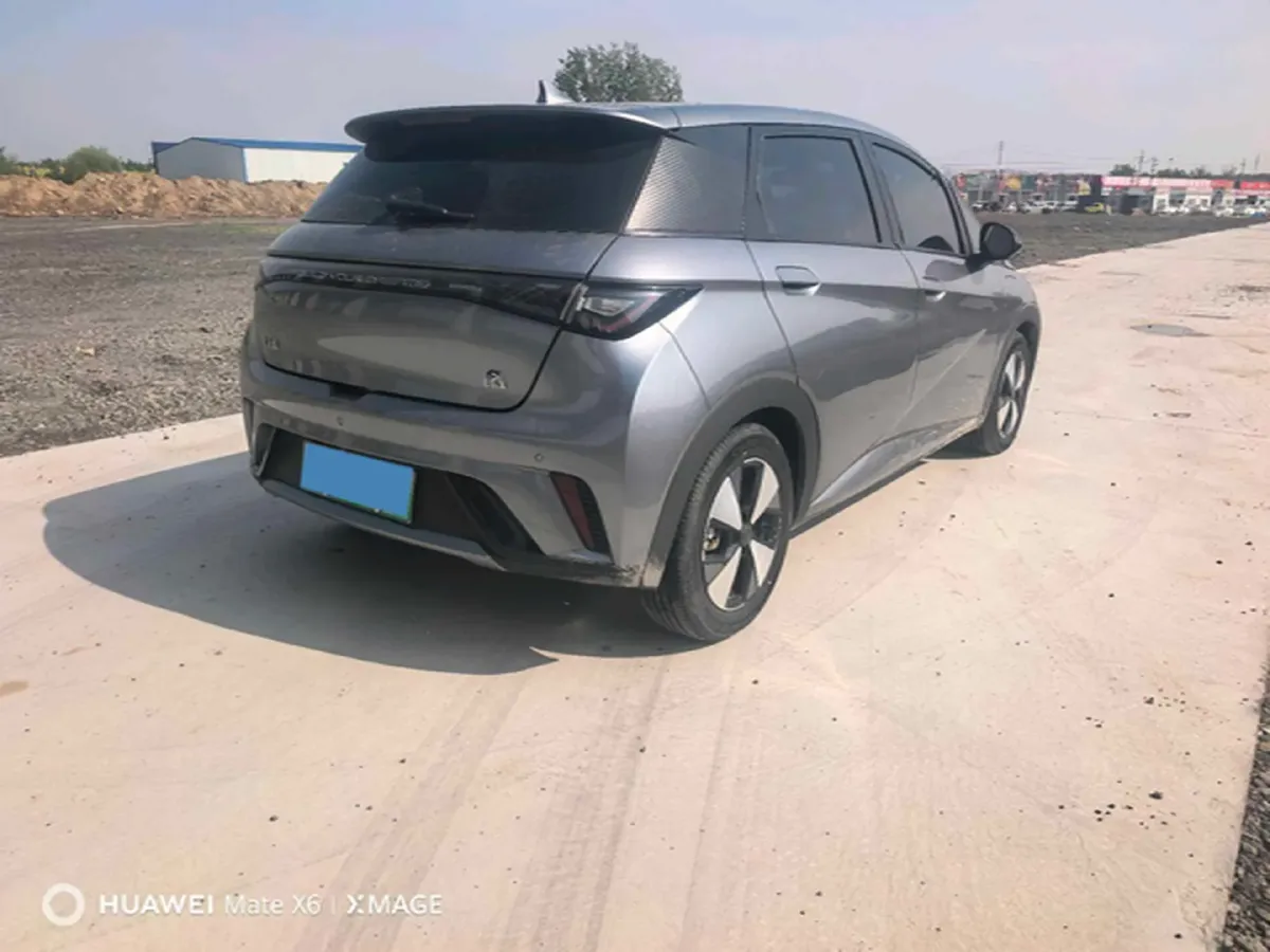 2023 BYD Dolphin BEV 44.928KWH,autocango,china used car exporter,china ev exporter,chinese used car exporter,chinese used ev exporter