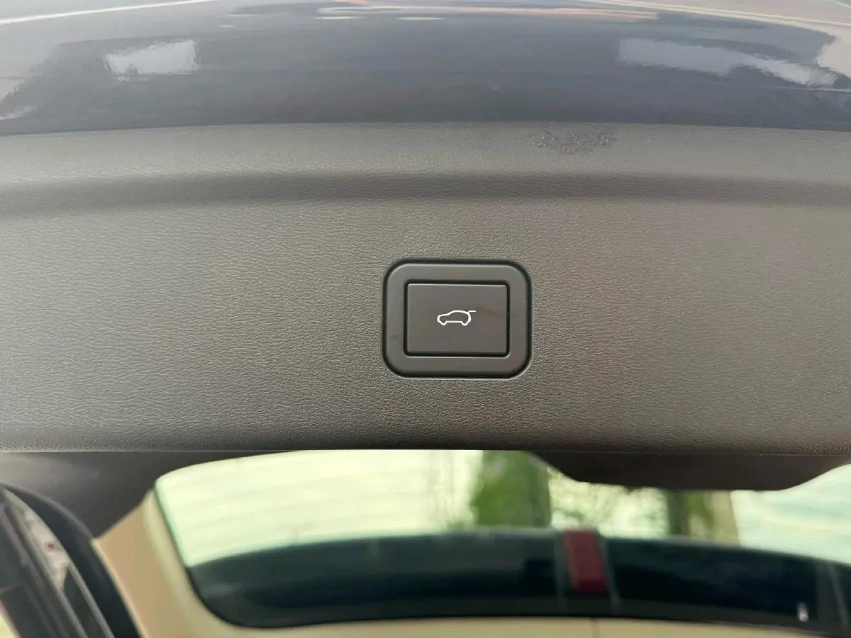 2020 WEY VV6 2.0T 227HP L4 7DCT,autocango,china used car exporter,china ev exporter,chinese used car exporter,chinese used ev exporter