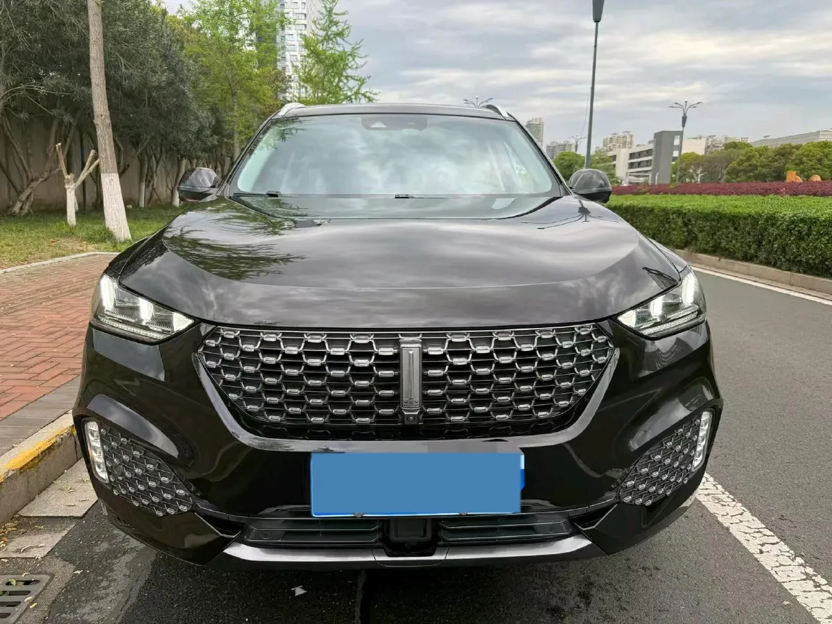 2020 WEY VV6 2.0T 227HP L4 7DCT,autocango,china used car exporter,china ev exporter,chinese used car exporter,chinese used ev exporter