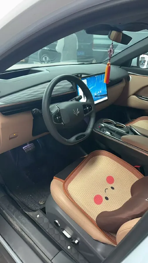 2024 MAXUS DaJia 5 BEV 61.1KWH,autocango,china used car exporter,china ev exporter,chinese used car exporter,chinese used ev exporter