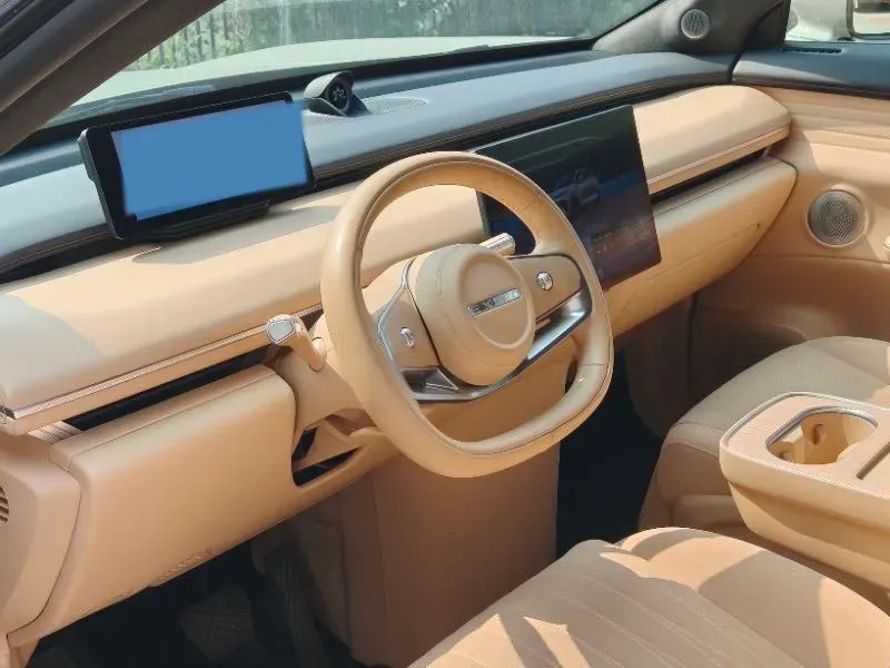 2025 Exceed Sterra ES BEV,autocango,china used car exporter,china ev exporter,chinese used car exporter,chinese used ev exporter