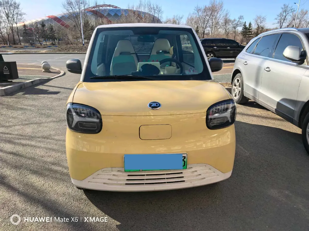 2024 ZD Rainbow BEV 17.3KWH,autocango,china used car exporter,china ev exporter,chinese used car exporter,chinese used ev exporter
