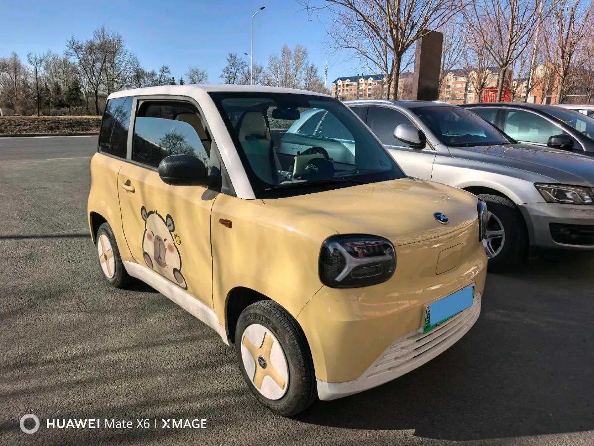 2024 ZD Rainbow BEV 17.3KWH,autocango,china used car exporter,china ev exporter,chinese used car exporter,chinese used ev exporter