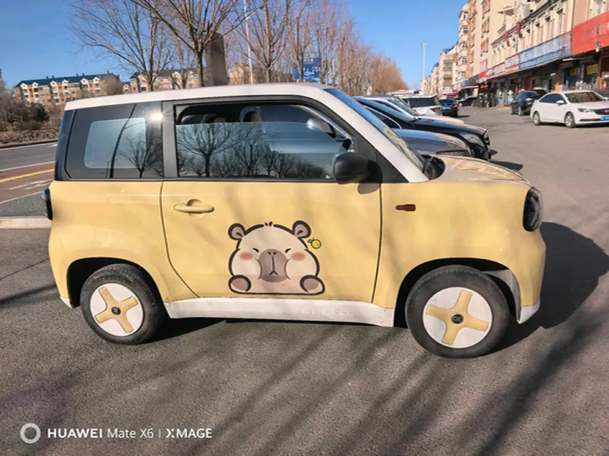 2024 ZD Rainbow BEV 17.3KWH,autocango,china used car exporter,china ev exporter,chinese used car exporter,chinese used ev exporter