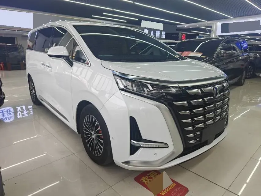 2024 Denza D9 1.5T 139HP L4 E-CVT PHEV 40KWH,autocango,china used car exporter,china ev exporter,chinese used car exporter,chinese used ev exporter