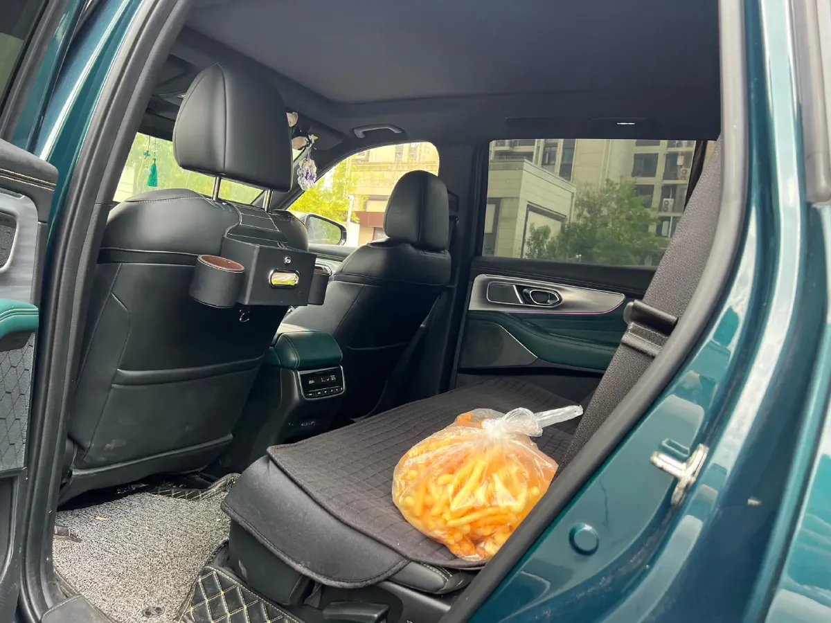 2022 GAC Trumpchi GS8 2.0T 252HP L4 8AT,autocango,china used car exporter,china ev exporter,chinese used car exporter,chinese used ev exporter