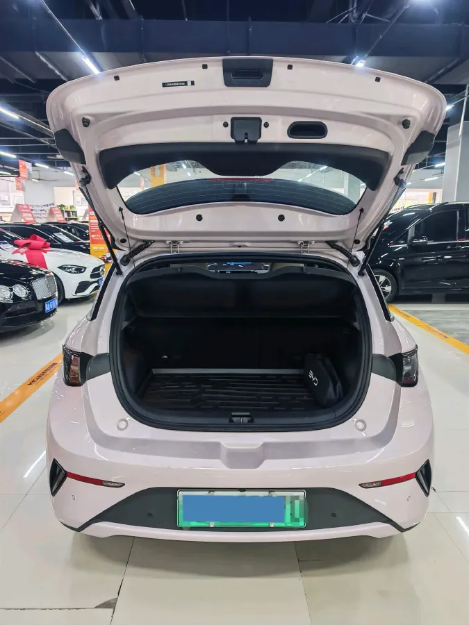 2025 BYD Dolphin BEV 45.12KWH,autocango,china used car exporter,china ev exporter,chinese used car exporter,chinese used ev exporter