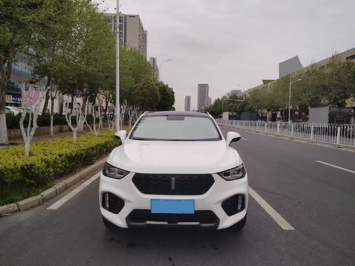 2019 WEY VV5 2.0T 224HP L4 7DCT,autocango,china used car exporter,china ev exporter,chinese used car exporter,chinese used ev exporter
