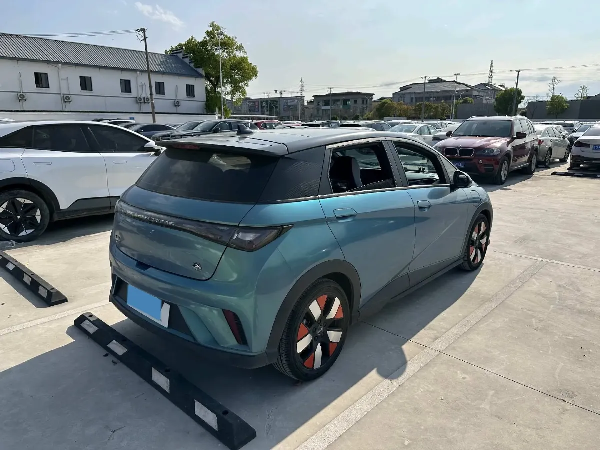 2021 BYD e2 BEV 43.2KWH,autocango,china used car exporter,china ev exporter,chinese used car exporter,chinese used ev exporter