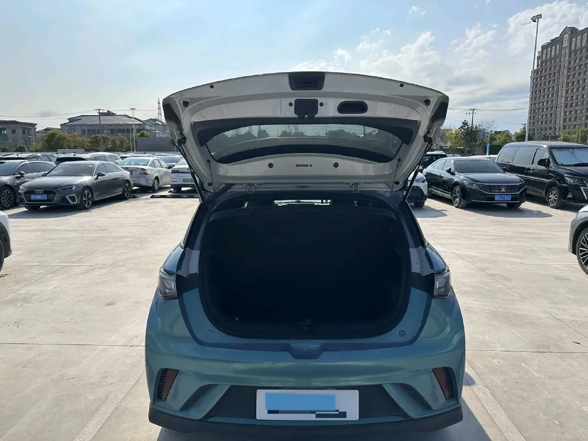 2021 BYD e2 BEV 43.2KWH,autocango,china used car exporter,china ev exporter,chinese used car exporter,chinese used ev exporter