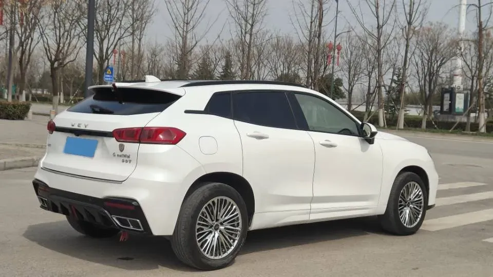 2020 WEY VV7 2.0T 227HP L4 7DCT,autocango,china used car exporter,china ev exporter,chinese used car exporter,chinese used ev exporter