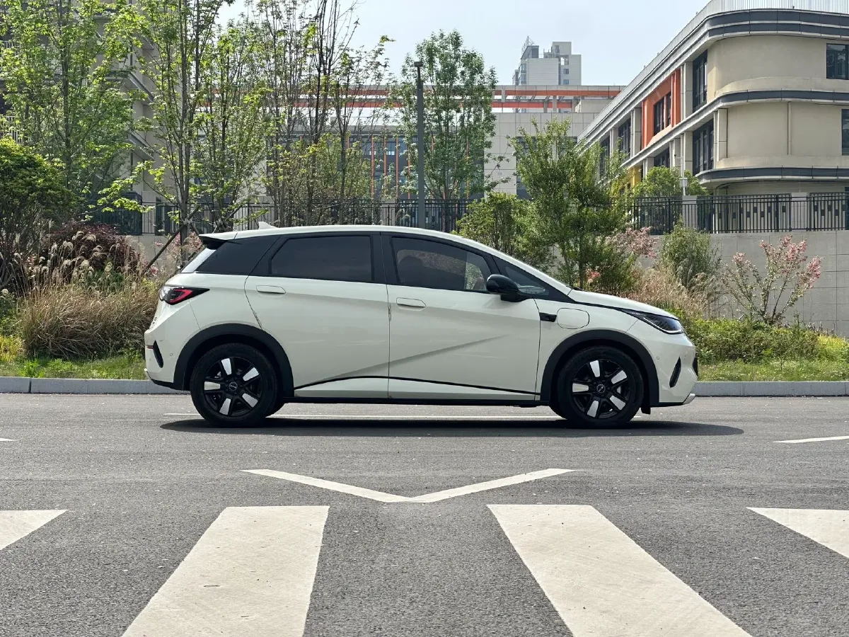 2025 BYD Dolphin BEV 45.12KWH,autocango,china used car exporter,china ev exporter,chinese used car exporter,chinese used ev exporter
