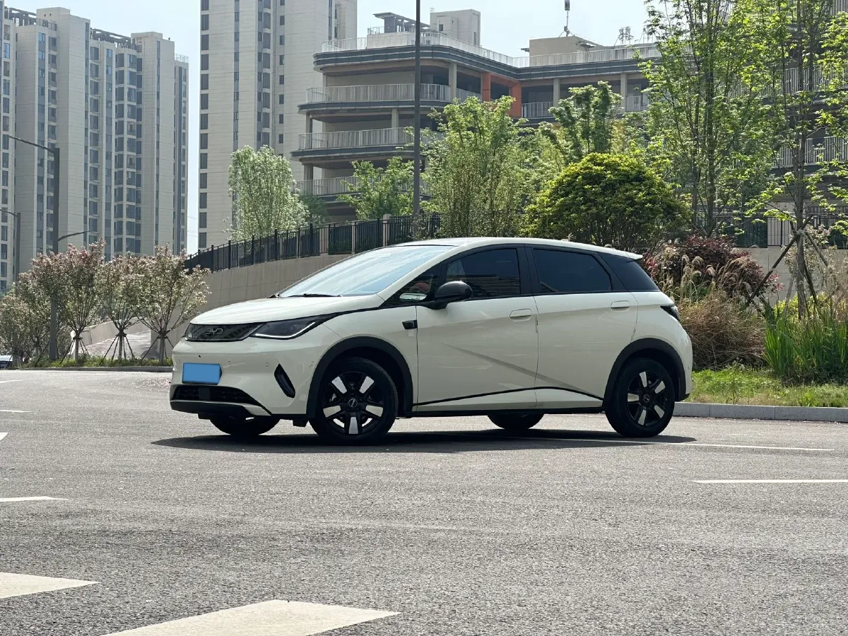 2025 BYD Dolphin BEV 45.12KWH,autocango,china used car exporter,china ev exporter,chinese used car exporter,chinese used ev exporter