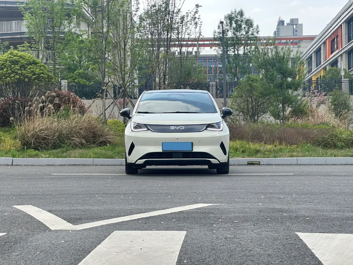 2025 BYD Dolphin BEV 45.12KWH,autocango,china used car exporter,china ev exporter,chinese used car exporter,chinese used ev exporter