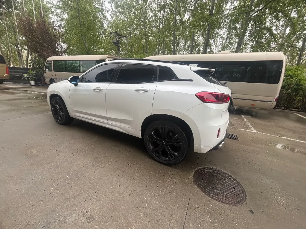 2017 WEY VV7 2.0T 234HP L4 7DCT,autocango,china used car exporter,china ev exporter,chinese used car exporter,chinese used ev exporter