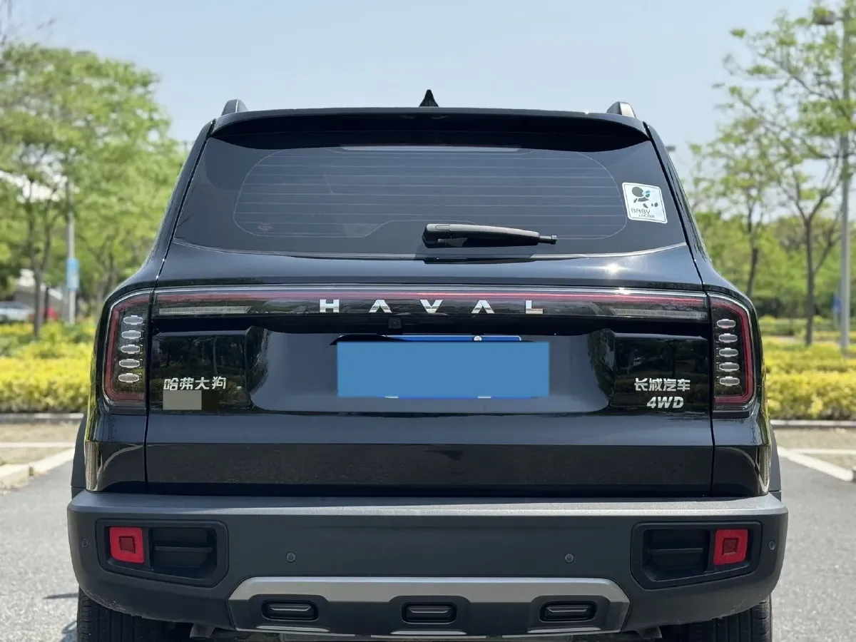 2024 Haval Dargo 2.0T 238HP L4 9DCT,autocango,china used car exporter,china ev exporter,chinese used car exporter,chinese used ev exporter