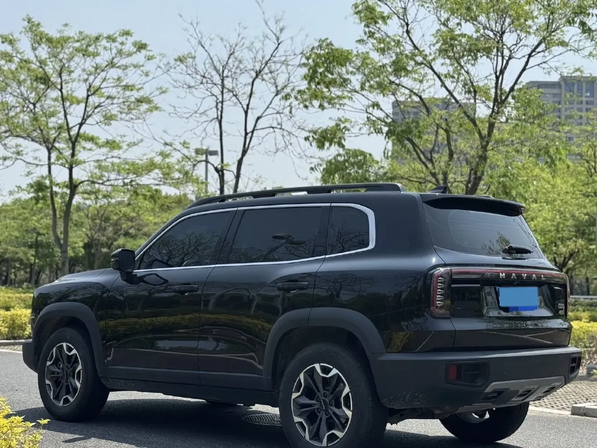 2024 Haval Dargo 2.0T 238HP L4 9DCT,autocango,china used car exporter,china ev exporter,chinese used car exporter,chinese used ev exporter