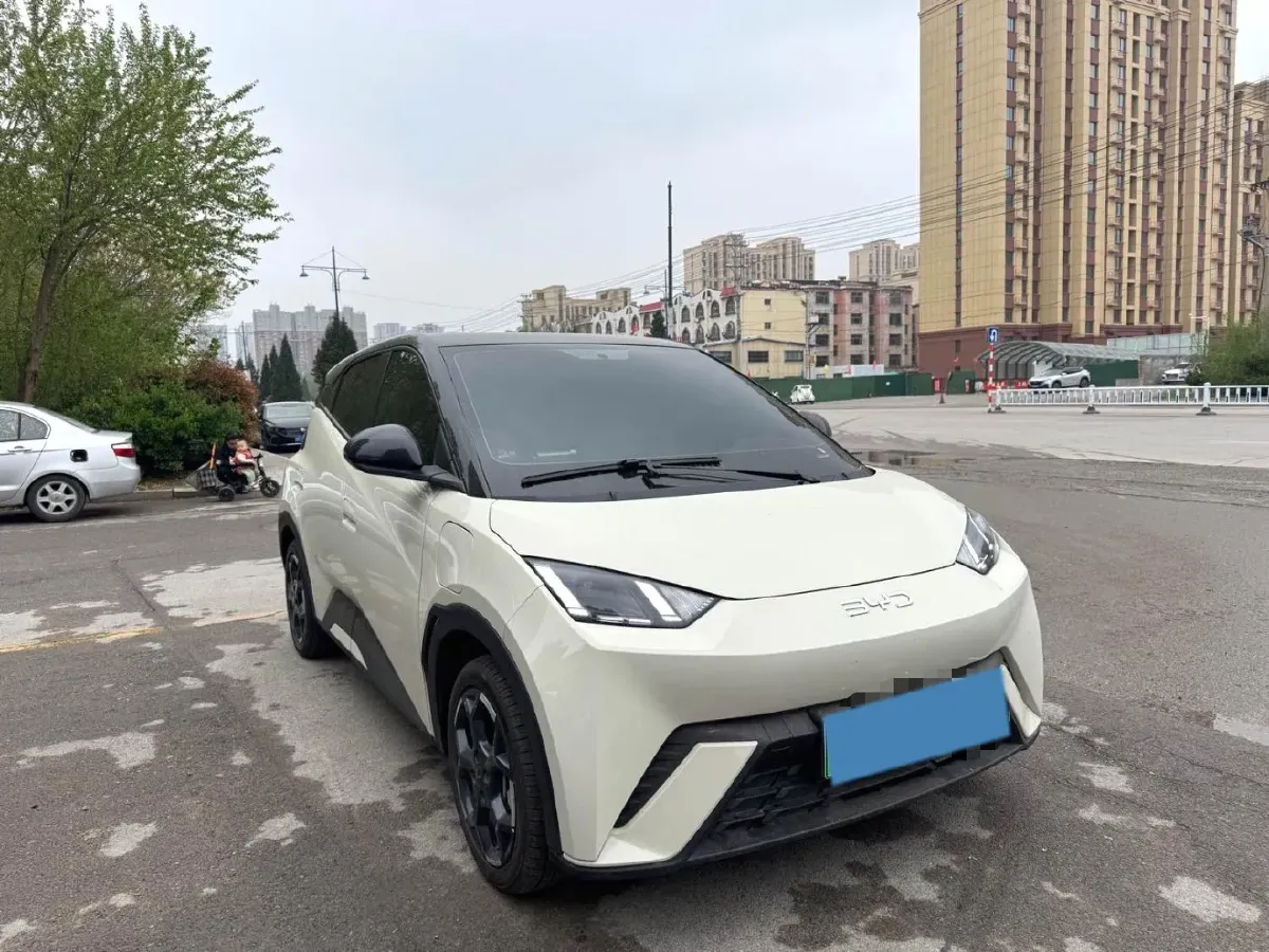 2025 BYD Seagull BEV 30.08KWH,autocango,china used car exporter,china ev exporter,chinese used car exporter,chinese used ev exporter