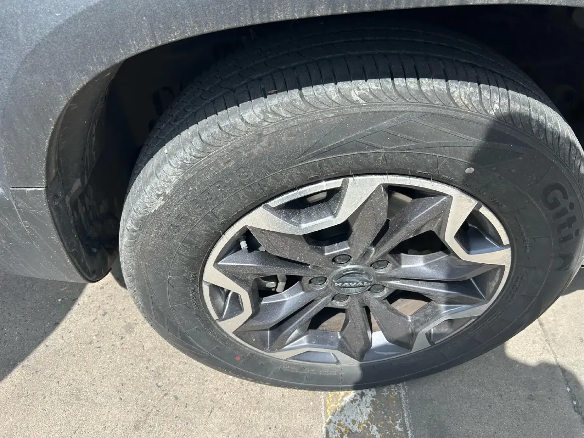 2024 Haval Dargo 2.0T 238HP L4 9DCT,autocango,china used car exporter,china ev exporter,chinese used car exporter,chinese used ev exporter