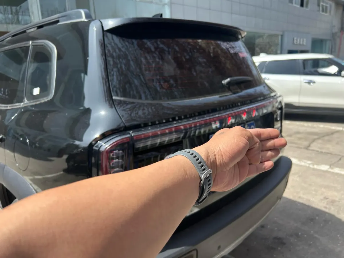 2024 Haval Dargo 2.0T 238HP L4 9DCT,autocango,china used car exporter,china ev exporter,chinese used car exporter,chinese used ev exporter