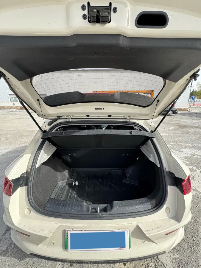 2023 BYD e2 BEV 43.2KWH,autocango,china used car exporter,china ev exporter,chinese used car exporter,chinese used ev exporter