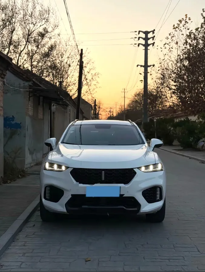 2017 WEY VV7 2.0T 234HP L4 7DCT,autocango,china used car exporter,china ev exporter,chinese used car exporter,chinese used ev exporter