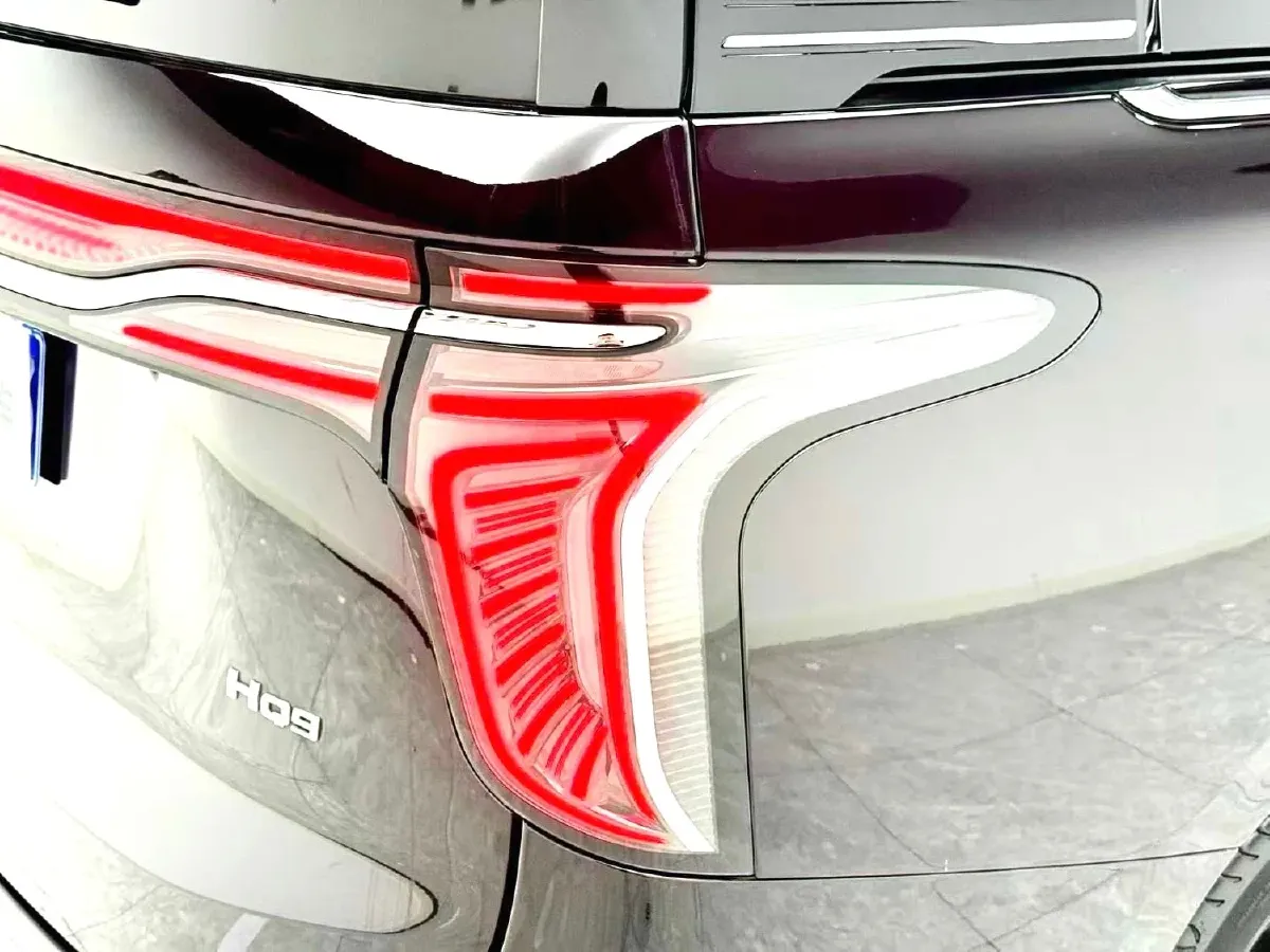 2023 HongQi HQ9 2.0T 252HP L4 8AT,autocango,china used car exporter,china ev exporter,chinese used car exporter,chinese used ev exporter