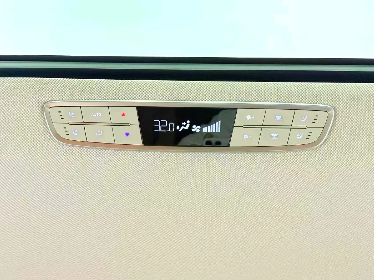 2023 HongQi HQ9 2.0T 252HP L4 8AT,autocango,china used car exporter,china ev exporter,chinese used car exporter,chinese used ev exporter