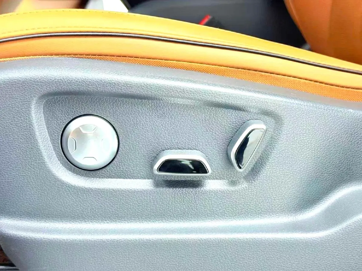 2023 HongQi HQ9 2.0T 252HP L4 8AT,autocango,china used car exporter,china ev exporter,chinese used car exporter,chinese used ev exporter